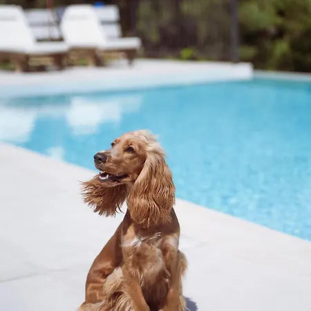 컨트리하우스 Ilyessa *