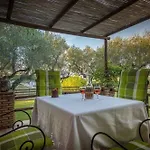 Ilyessa Kır Evi *
