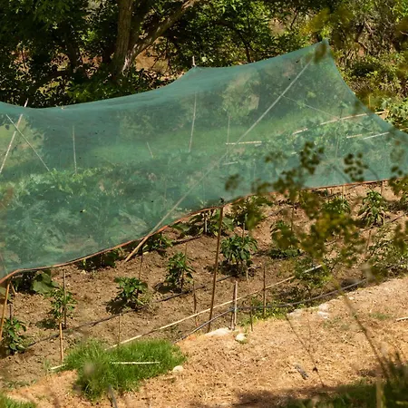 Ilyessa Casa rural *