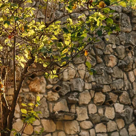 Ilyessa Casa rural Méson Yerakaríon