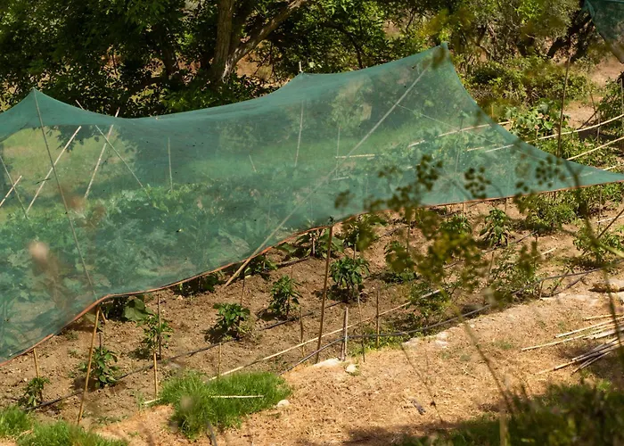 Ilyessa Gospodarstwo wiejskie *