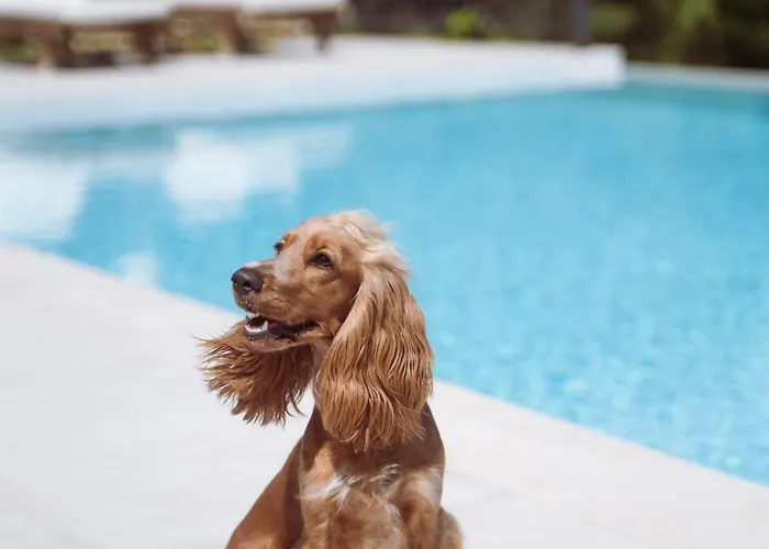 Gospodarstwo wiejskie Ilyessa *