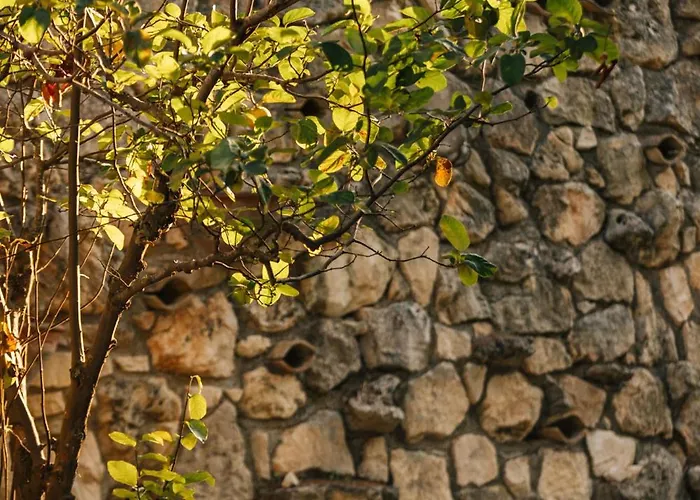 Ilyessa Gospodarstwo wiejskie Méson Yerakaríon